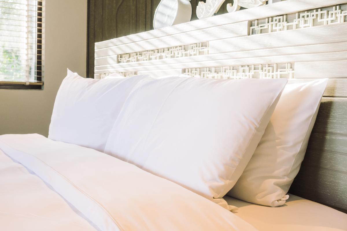 Hypoallergenic Pillows